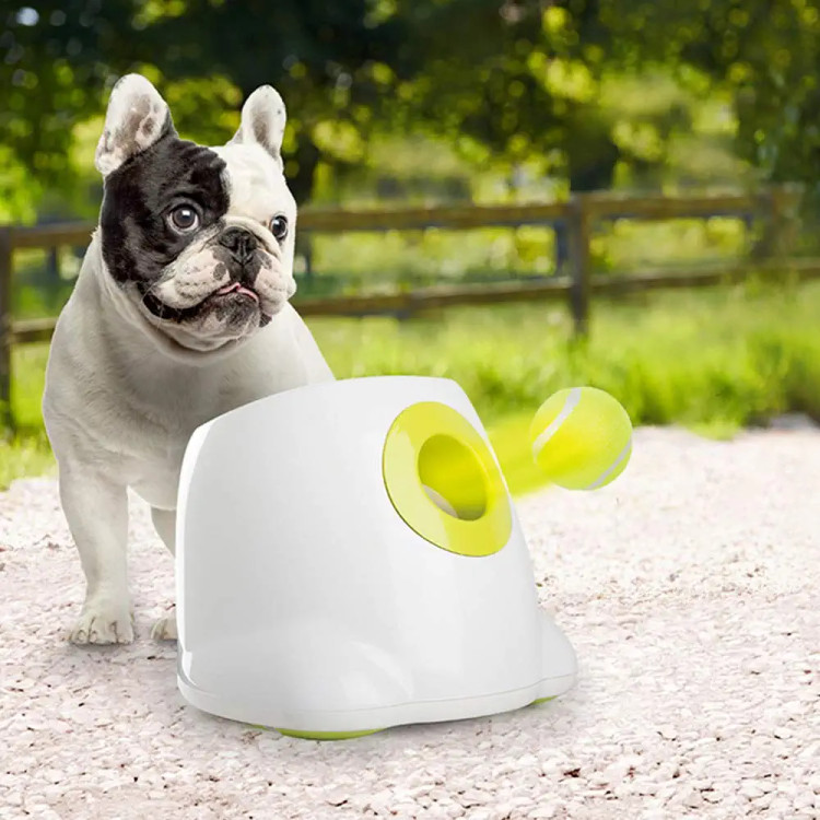 دستگاه پرتاب کننده توپ خودکار برند All for Paws Dog برای سگ های کوچک، دستگاه پرتاب توپ تنیس سگ، 3 توپ شامل