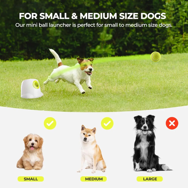 دستگاه پرتاب کننده توپ خودکار برند All for Paws Dog برای سگ های کوچک، دستگاه پرتاب توپ تنیس سگ، 3 توپ شامل