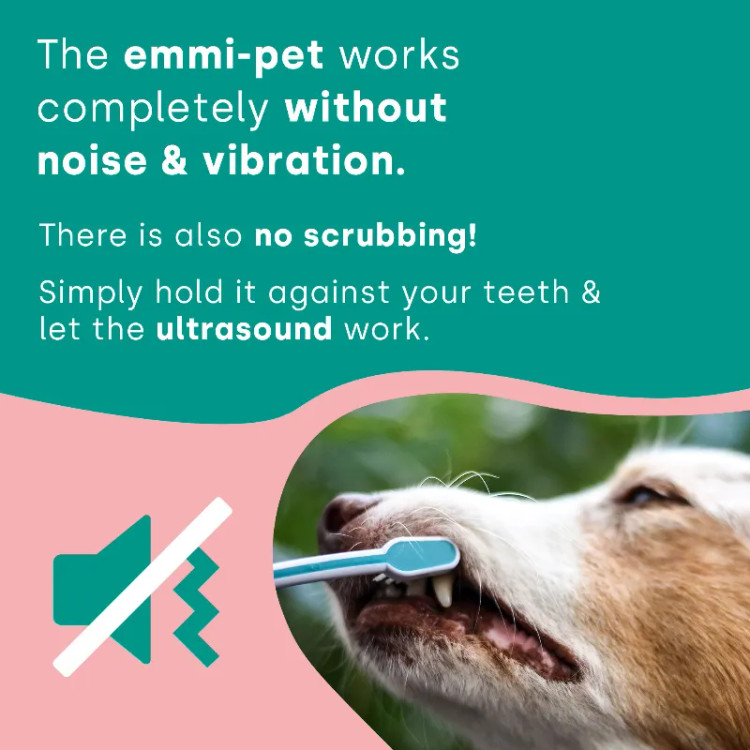 مسواک برقی التراسونیک مخصوص سگ و گربه برند emmi-pet2 با یکشارژر ،دو دستگاه مسواک برقی،4 عدد سری و دو عدد خمیر دندان(قابل استفاده برای دو پت))
