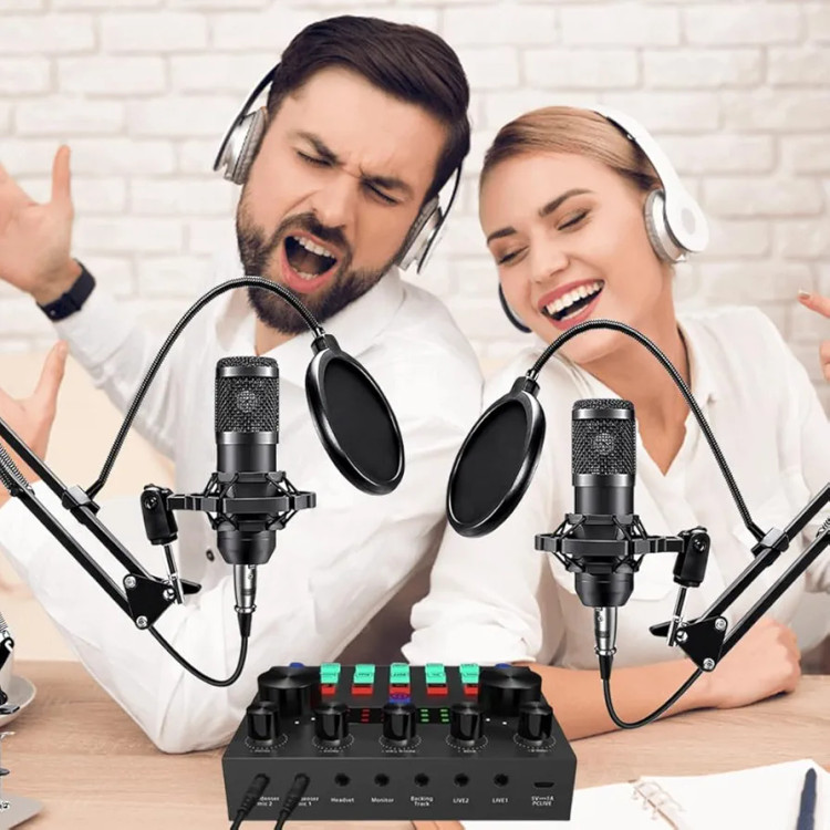 میکروفون کندانسر BM800 با کارت صدای V8Sجدید