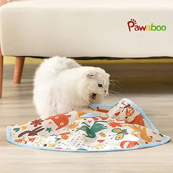 اسباب بازی حرکتی گربه 2 در 1 شارژی برند Pawaboo