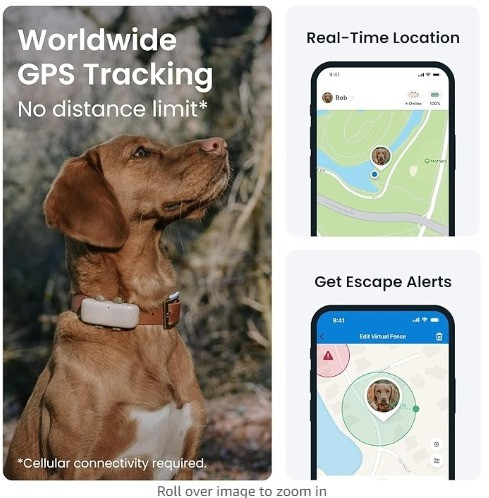 جی پی اس و ردیاب حیوانات خانگی برند tractive ، پر فروشترین جی پی اس حیوانات خانگی در دنیا(لطفا قبل از خرید قسمت توضیحات را کامل بخوانید)