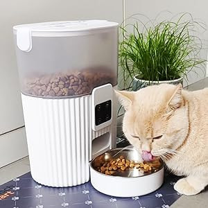 ظرف غذای هوشمند سگ و گربه 3 لیتری با قابلیت ضبط روی دستگاه