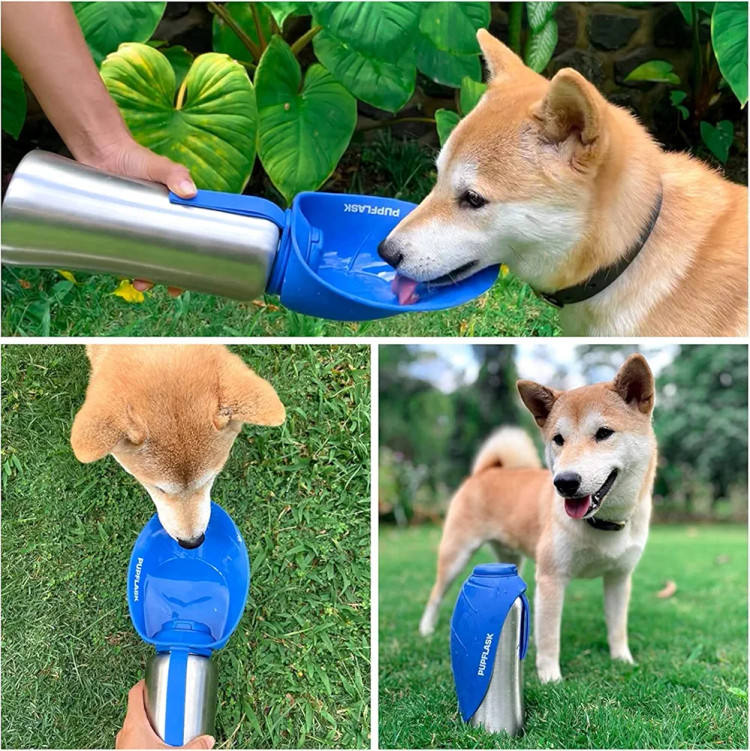 فلاسک آب استیل ضد زنگ مخصوص سگ و گربه ۸۰۰ میلی لیتری برند PupFlask