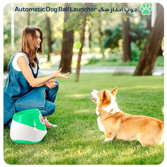 توپ انداز سگ Automatic Dog Ball Launcher